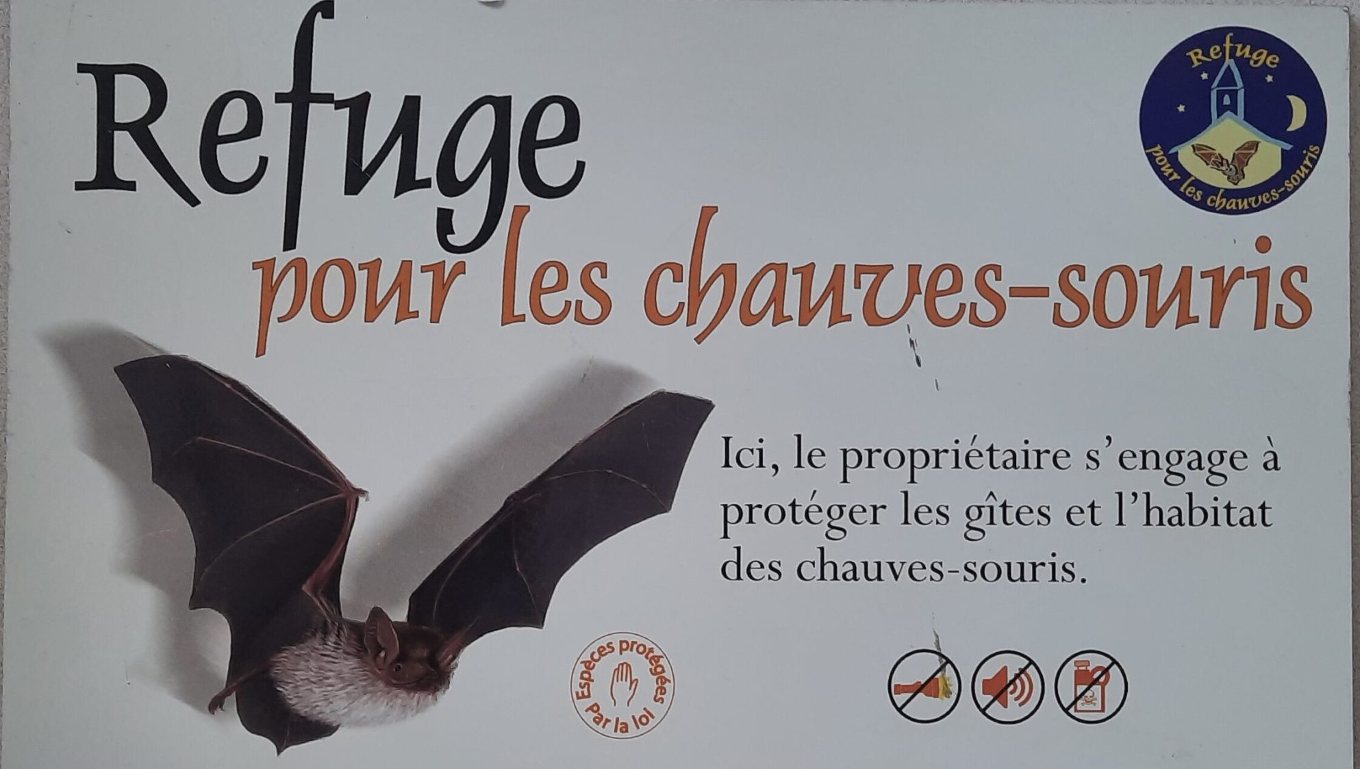 Sans titre