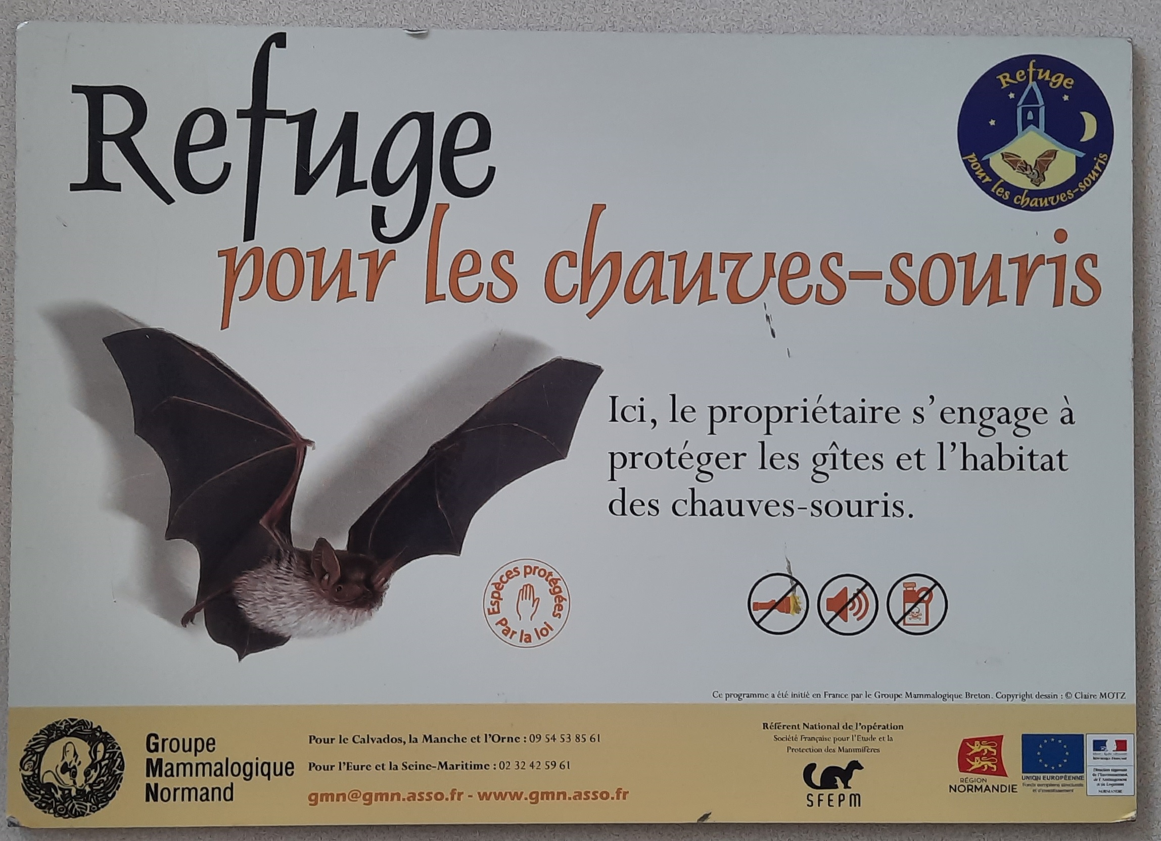 Sans titre