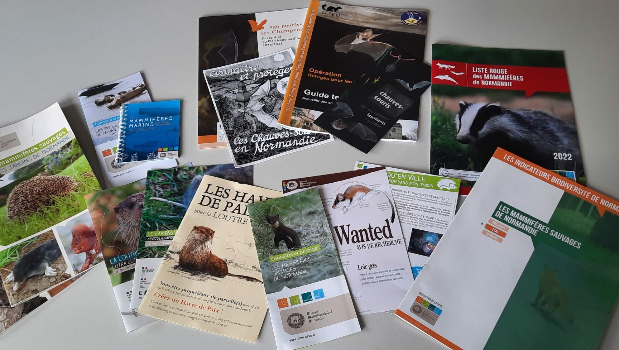 20241010_150806 20241010_150806