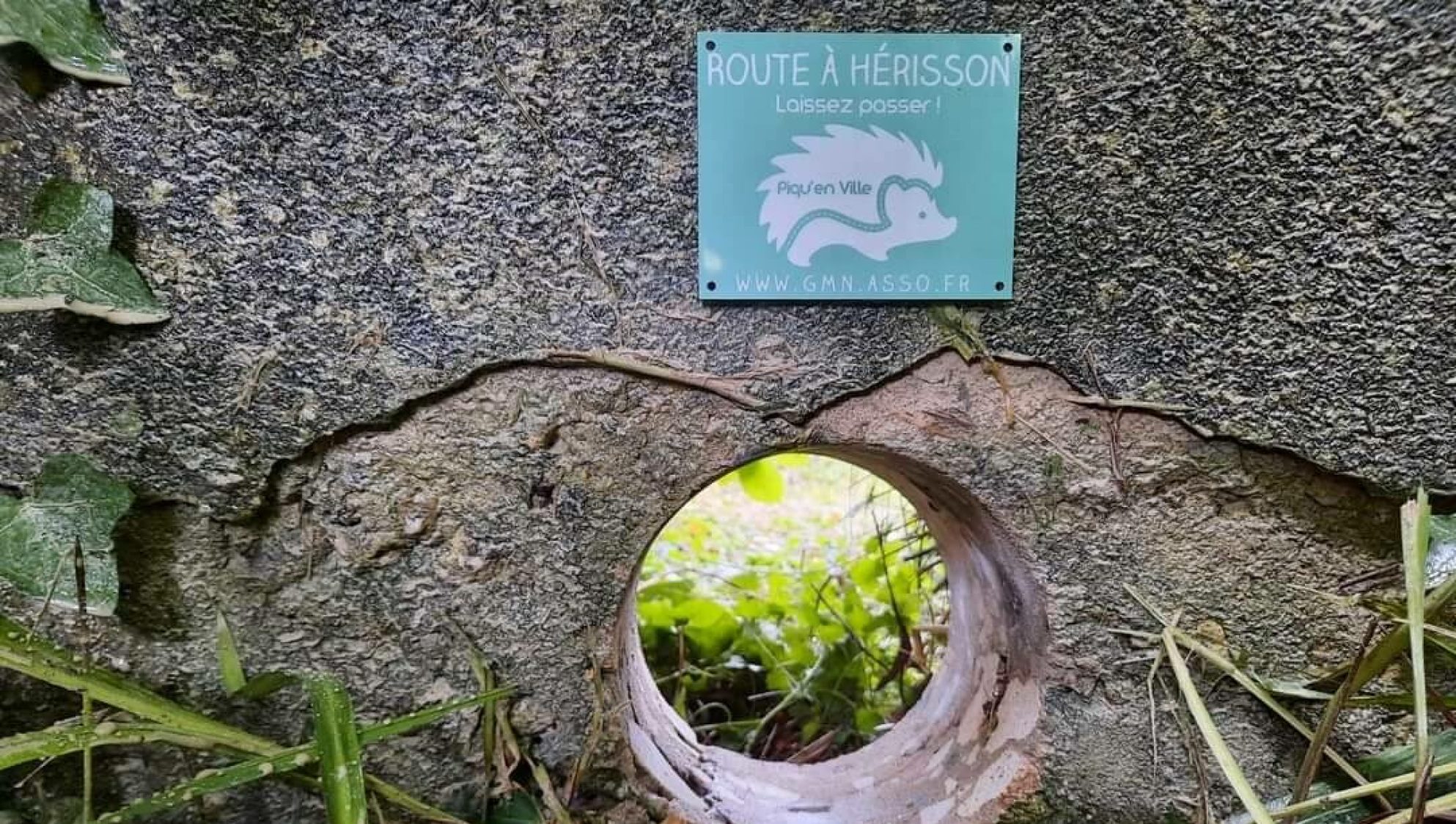 459724601_832104939124411_1945539724411967017_n