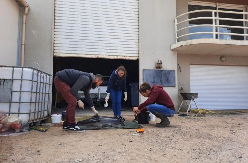 Formation de nouveaux observateurs à la réalisation d'autopsie de mammifères marins @ Melissande GAULTIER